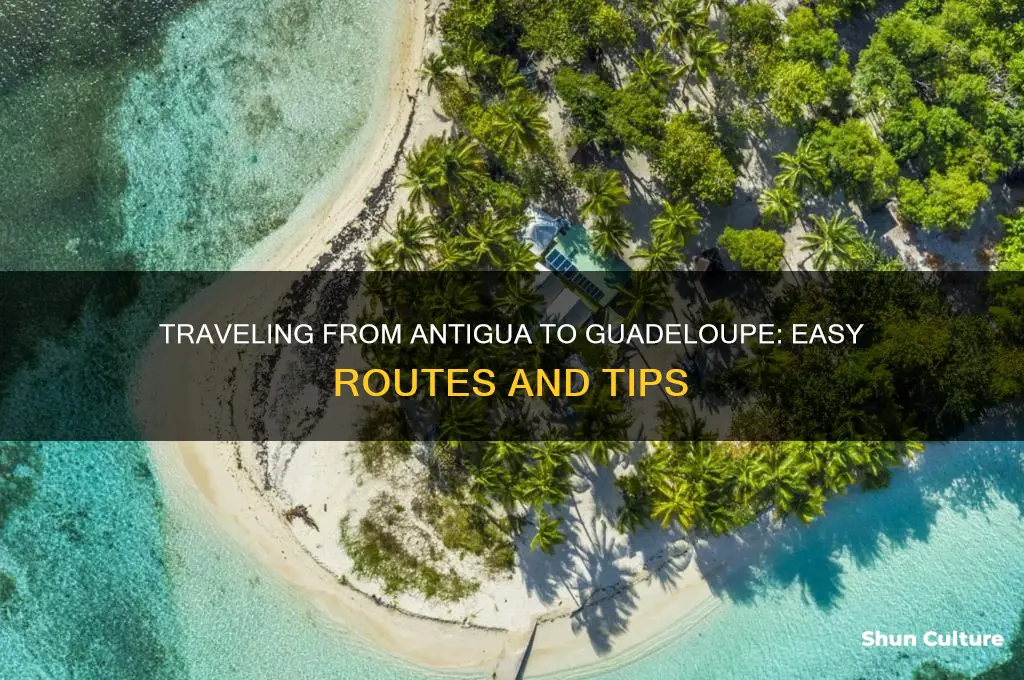 how to get from antigua to guadeloupe