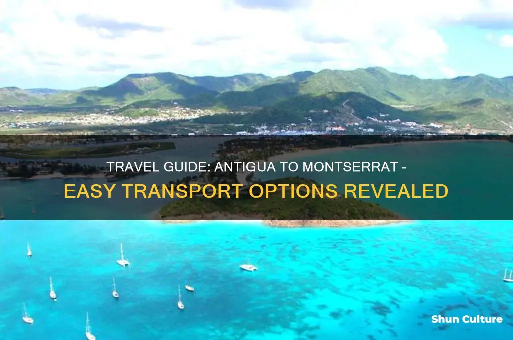 how to get from antigua to montserrat