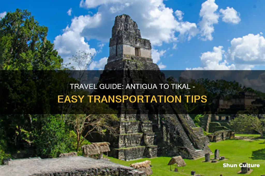 how to get from antigua to tikal