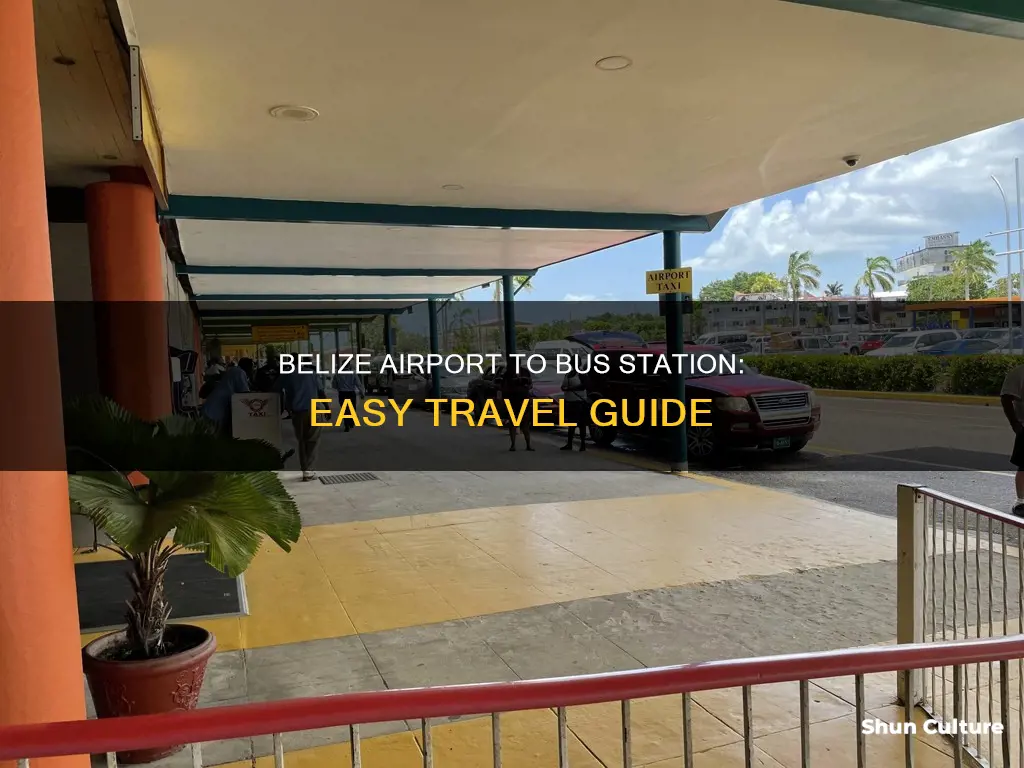 how to get from belize airport to bus station