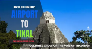 Belize Airport to Tikal: Travel Options Explored