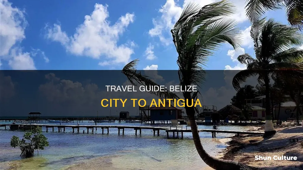 how to get from belize city to antigua