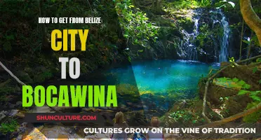 Travel Guide: Belize City to Bocawina