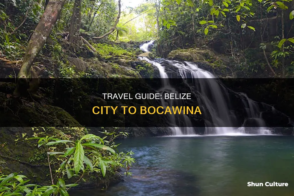 how to get from belize city to bocawina