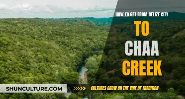 Travel Guide: Belize City to Cha Creek