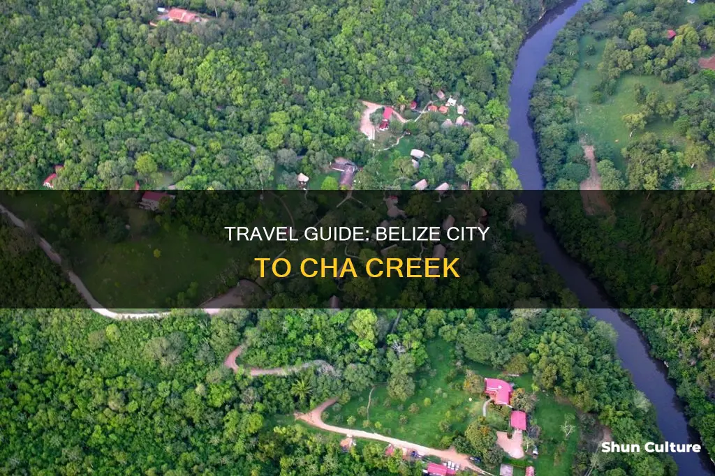 how to get from belize city to chaa creek