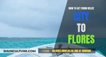 Travel Guide: Belize City to Flores