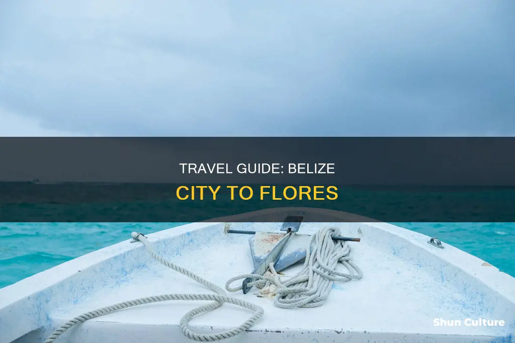 how to get from belize city to flores