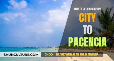 Travel Guide: Belize City to Placencia