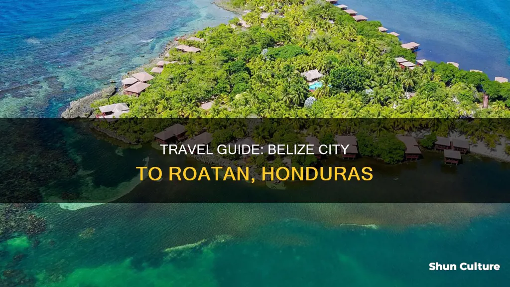 how to get from belize city to roatan honduras