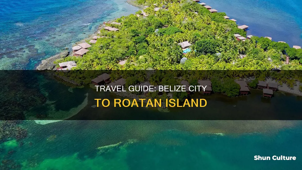 how to get from belize city to rotan