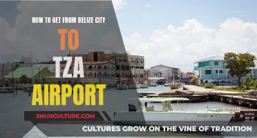 Belize City to TZA: Efficient Travel Options