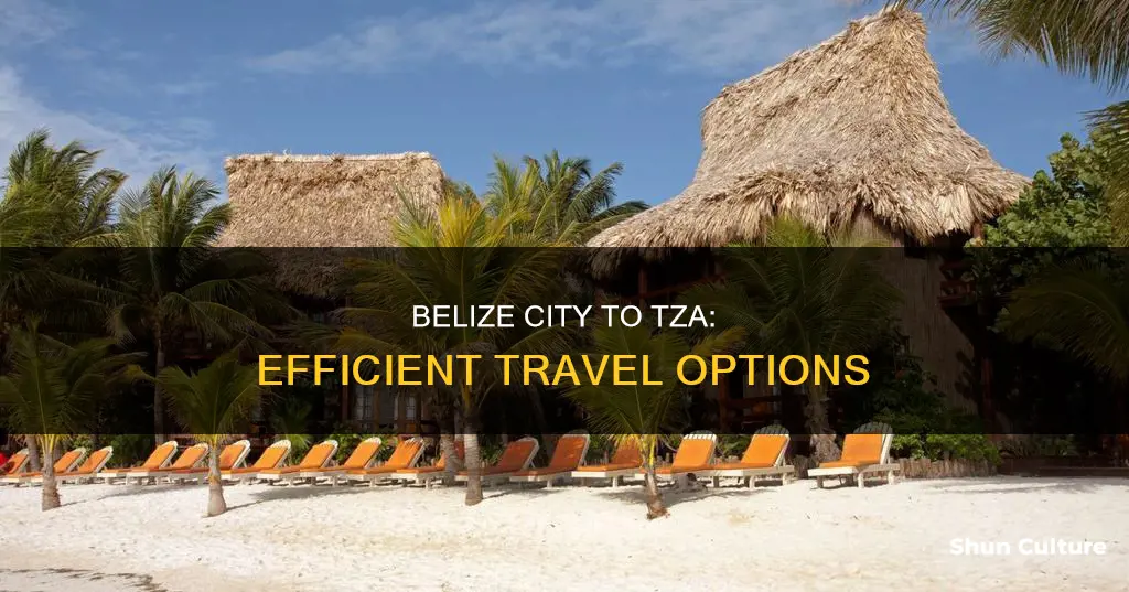 how to get from belize city to tza airport