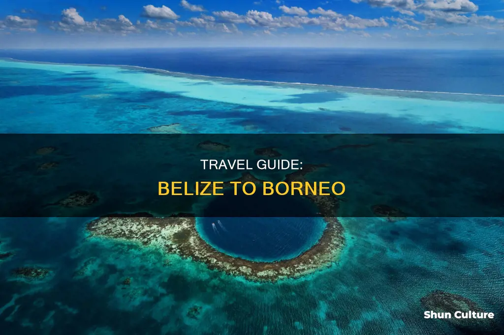 how to get from belize to borneo