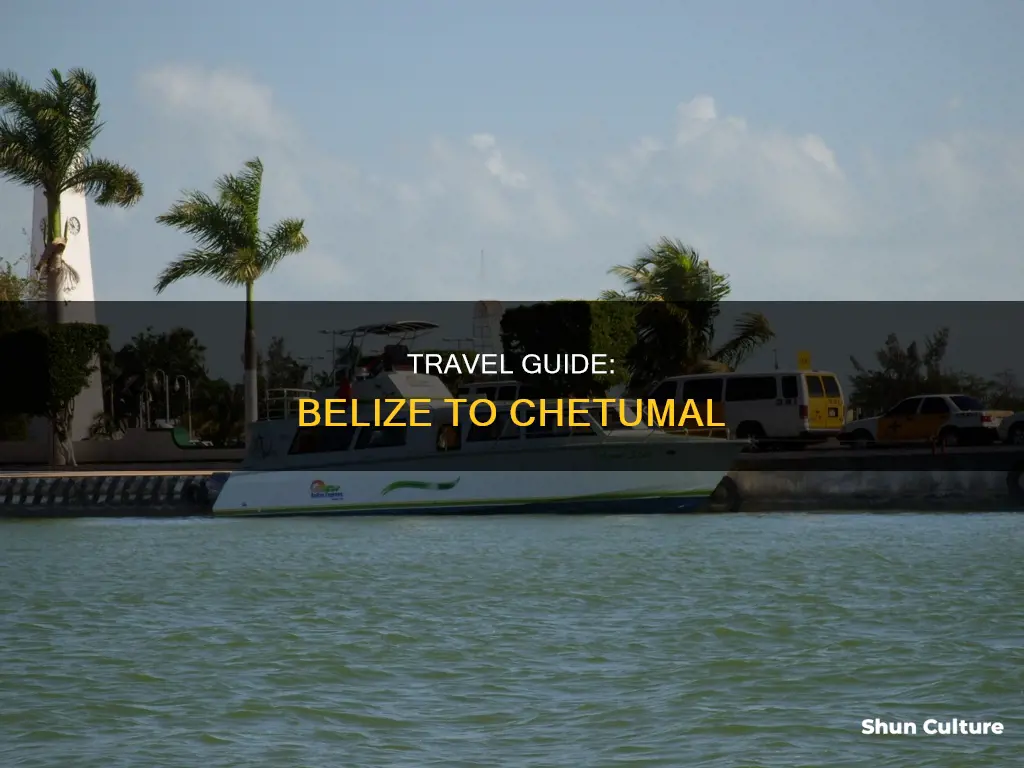 how to get from belize to chetumal