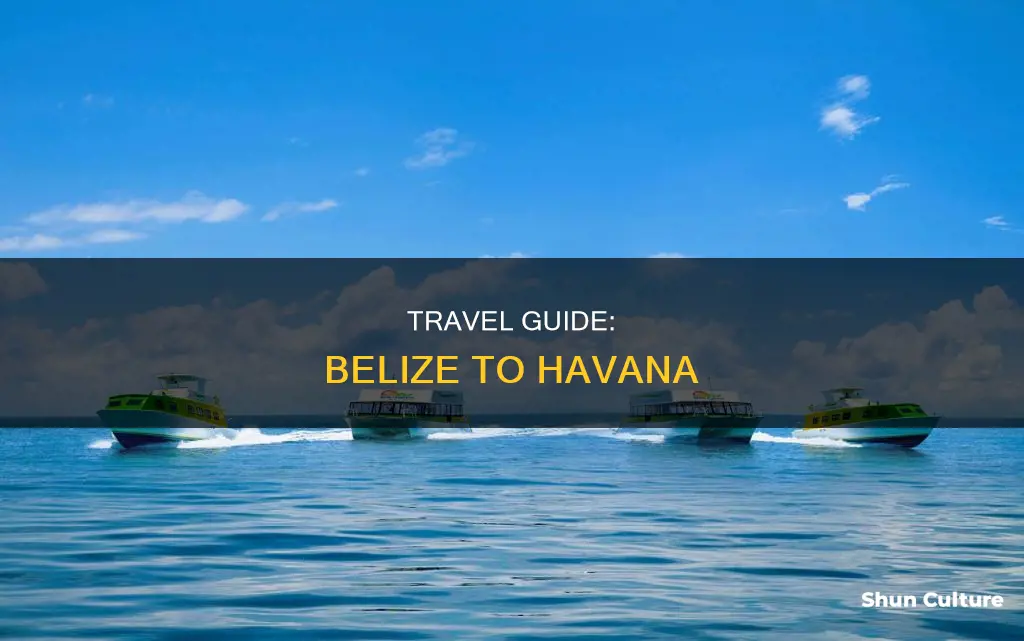 how to get from belize to havana