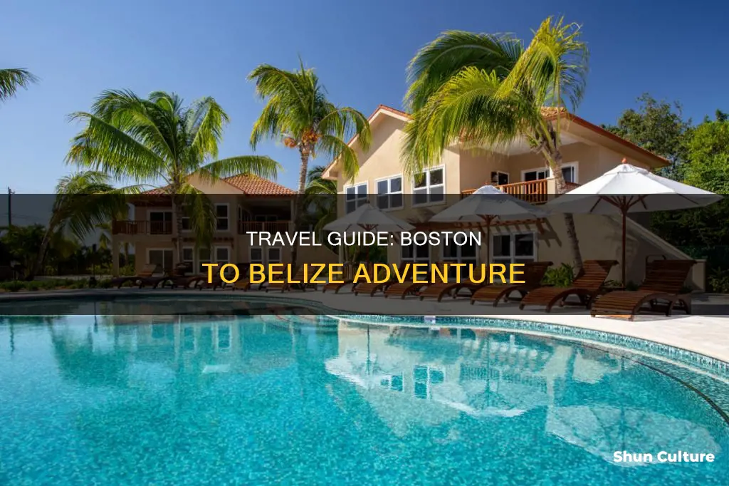 how to get from boston to beliz