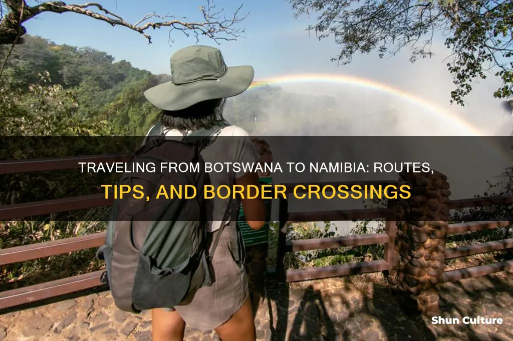how to get from botswana to namibia