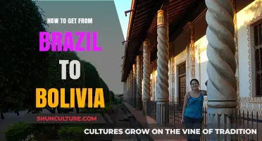 Traveling from Brazil to Bolivia: Routes, Tips, and Essential Guide