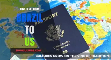 Traveling from Brazil to the US: Your Ultimate Guide to Hassle-Free Journeys
