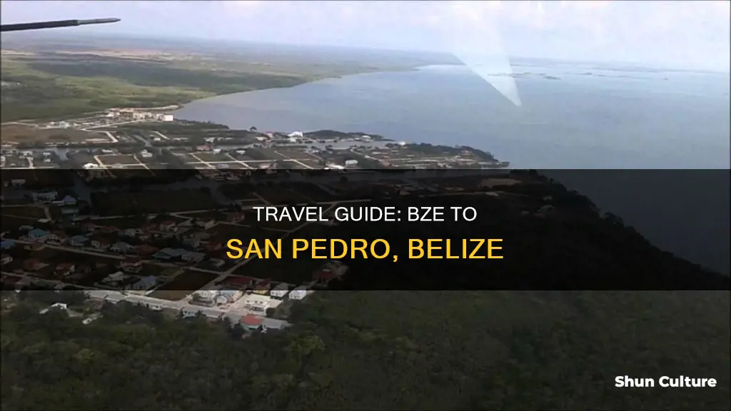 how to get from bze to san pedro belize