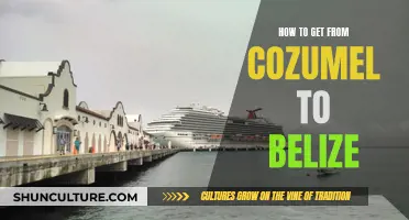 Exploring Cozumel to Belize: Travel Options