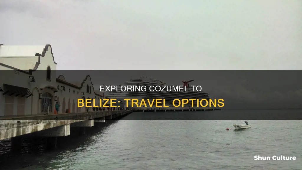 how to get from cozumel to belize