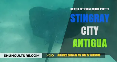Stingray City Antigua: Easy Cruise Port to Beach Transport Guide