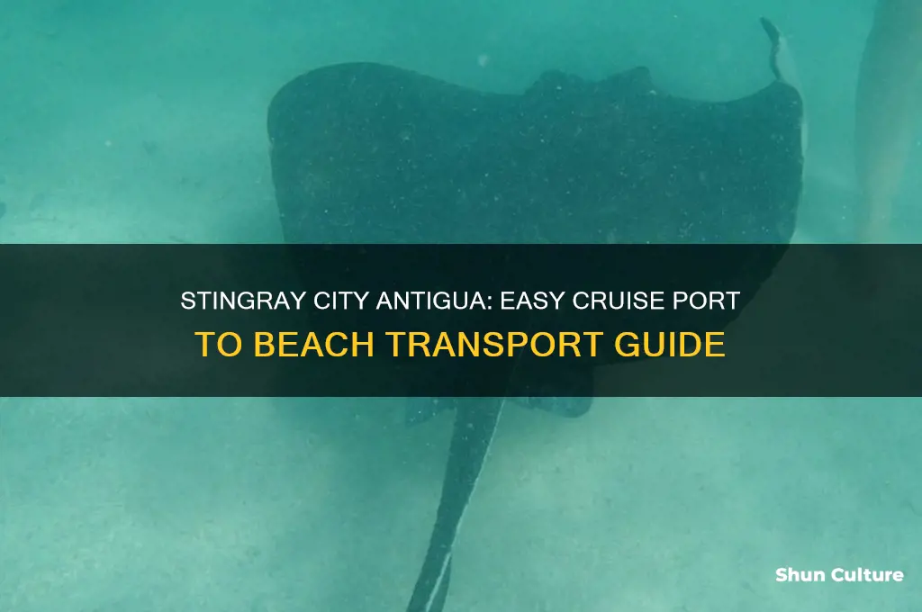 how to get from cruise port to stingray city antigua