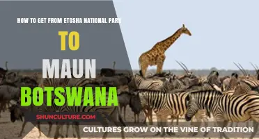 Travel Guide: Etosha National Park to Maun, Botswana Journey Tips