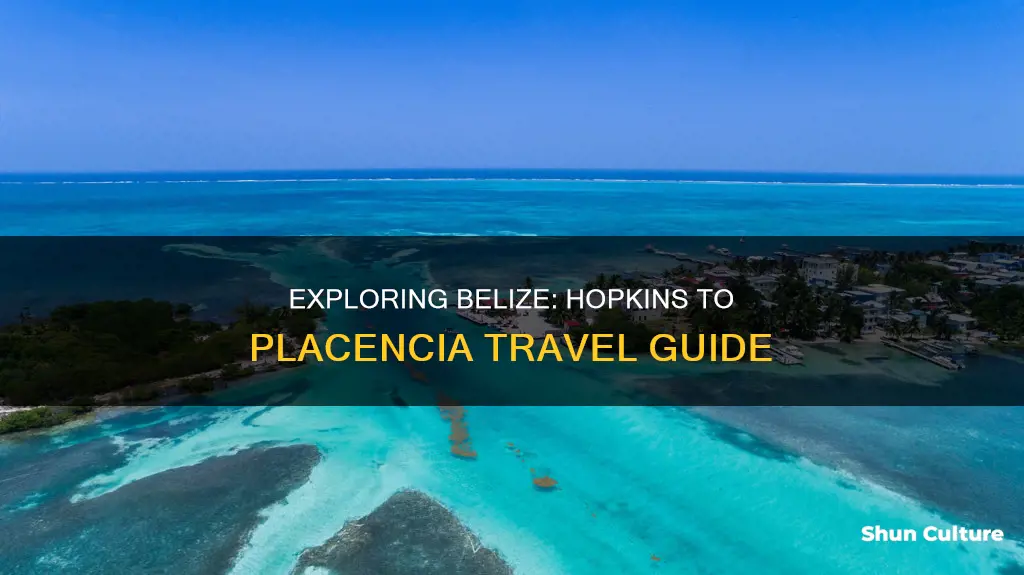 how to get from hopkins belize to placencia