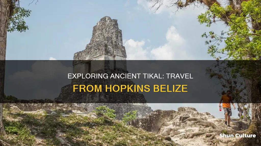 how to get from hopkins belize to tikal guatemala