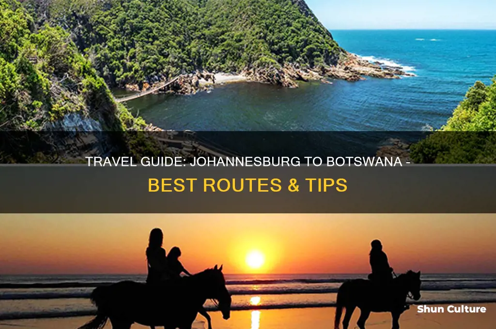 how to get from johannesburg to botswana