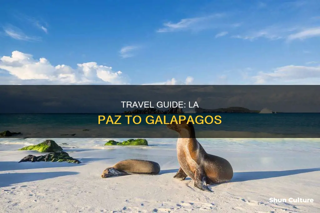 how to get from la paz bolivia to gallapagose