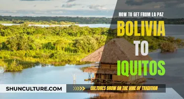 Travel Guide: La Paz to Iquitos, Bolivia's Amazon Adventure