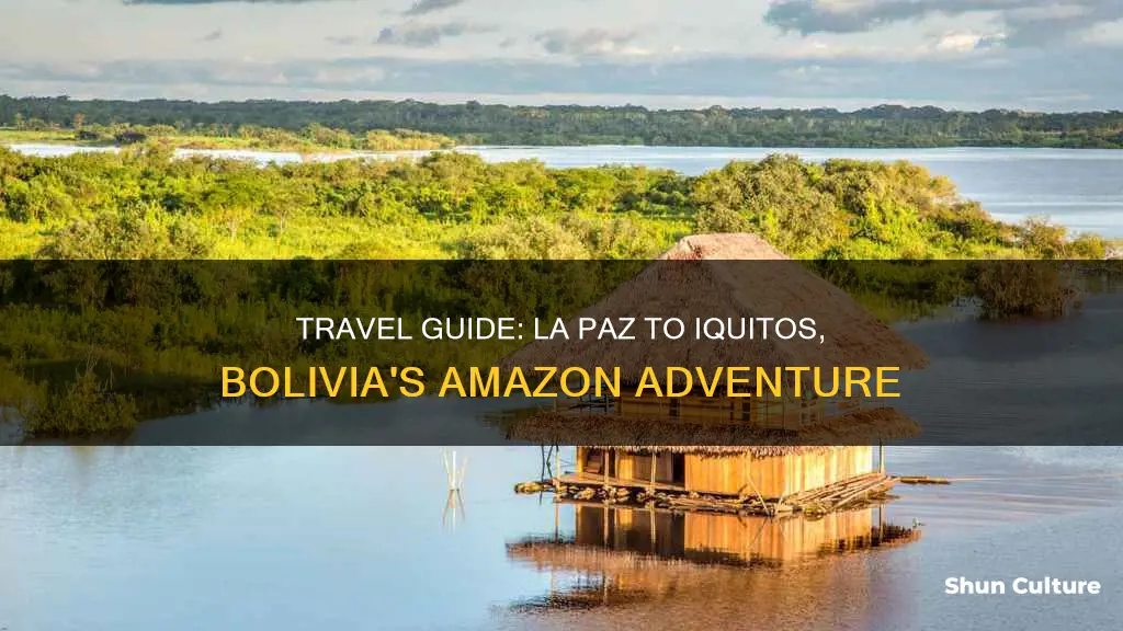 how to get from la paz bolivia to iquitos