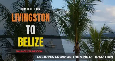 Travel Guide: Livingston to Belize