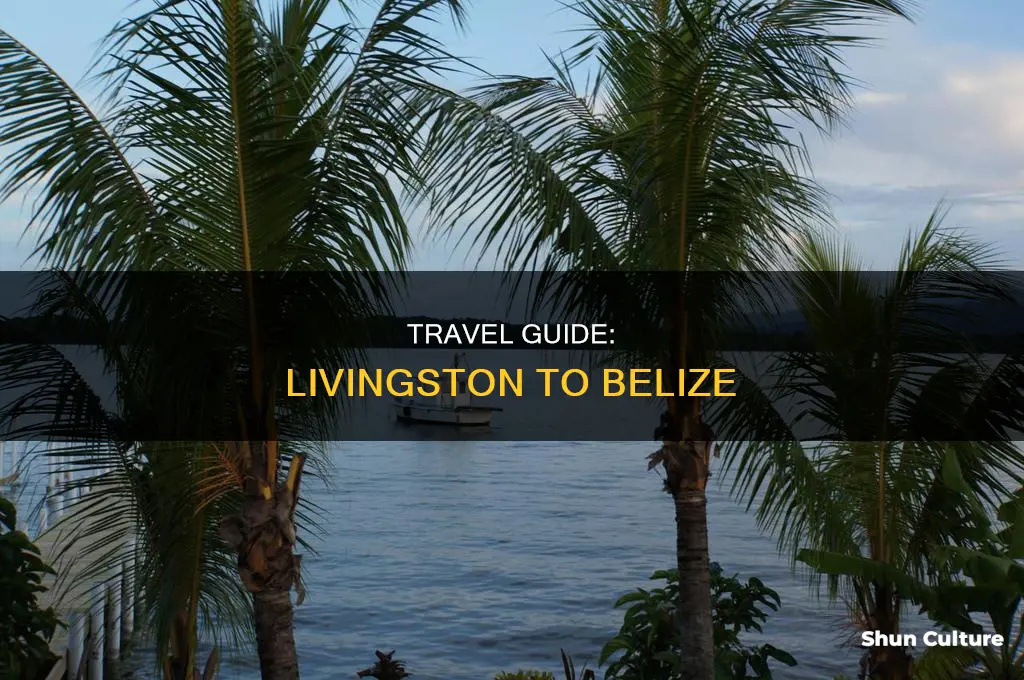 how to get from livingston to belize