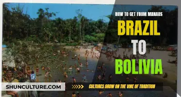 Travel Guide: Manaus, Brazil to Bolivia