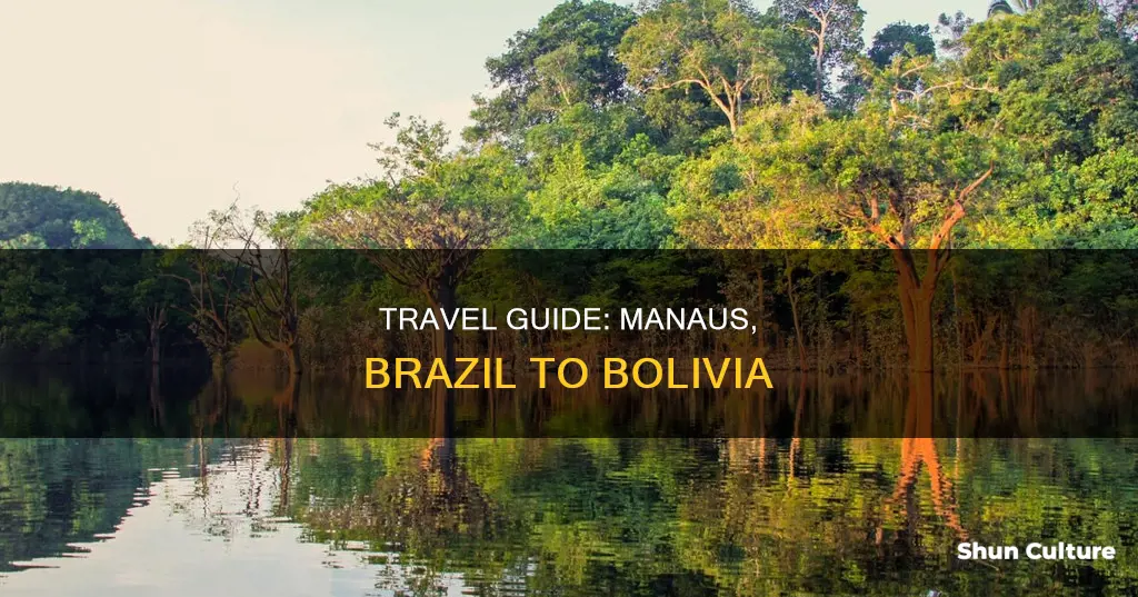 how to get from manaus brazil to bolivia