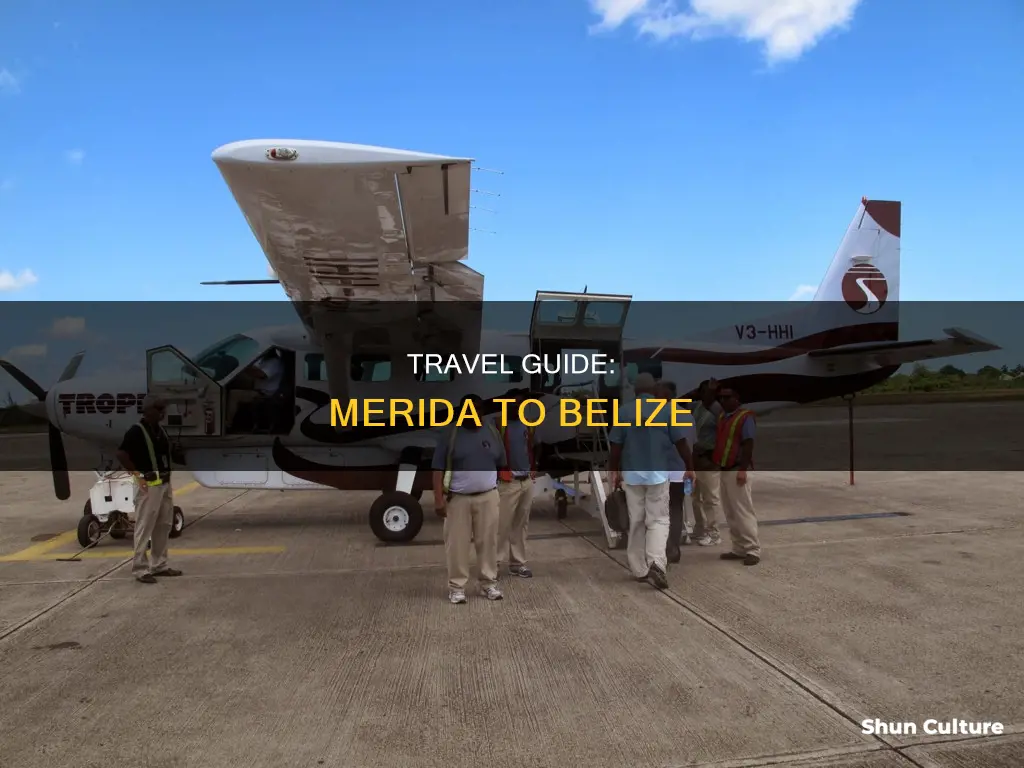 how to get from merida mexico to belize