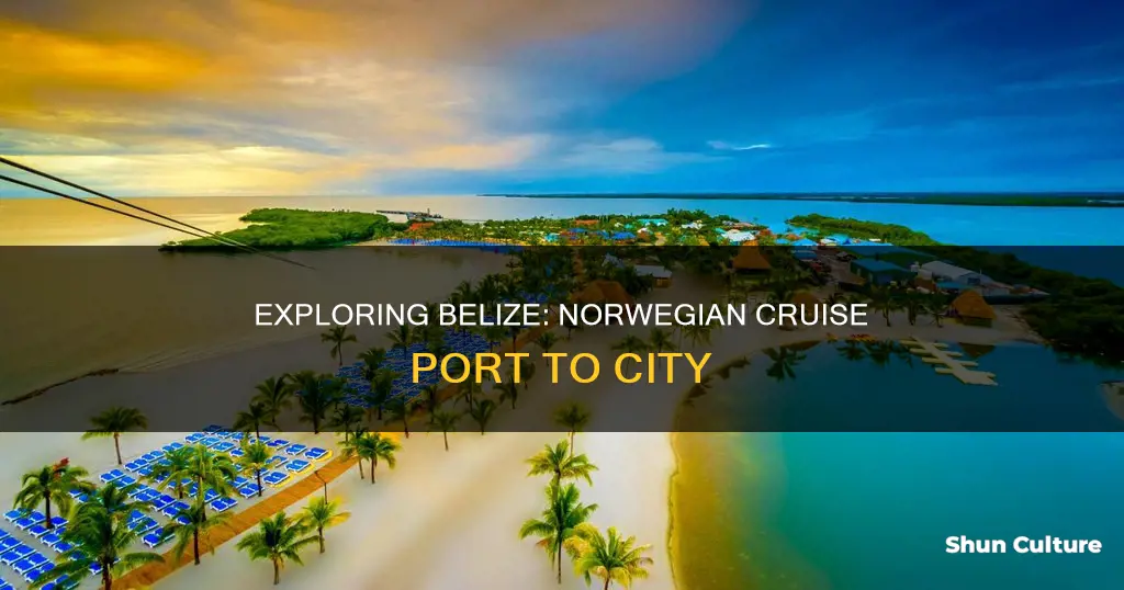 how to get from norwegian port to belize city cruise