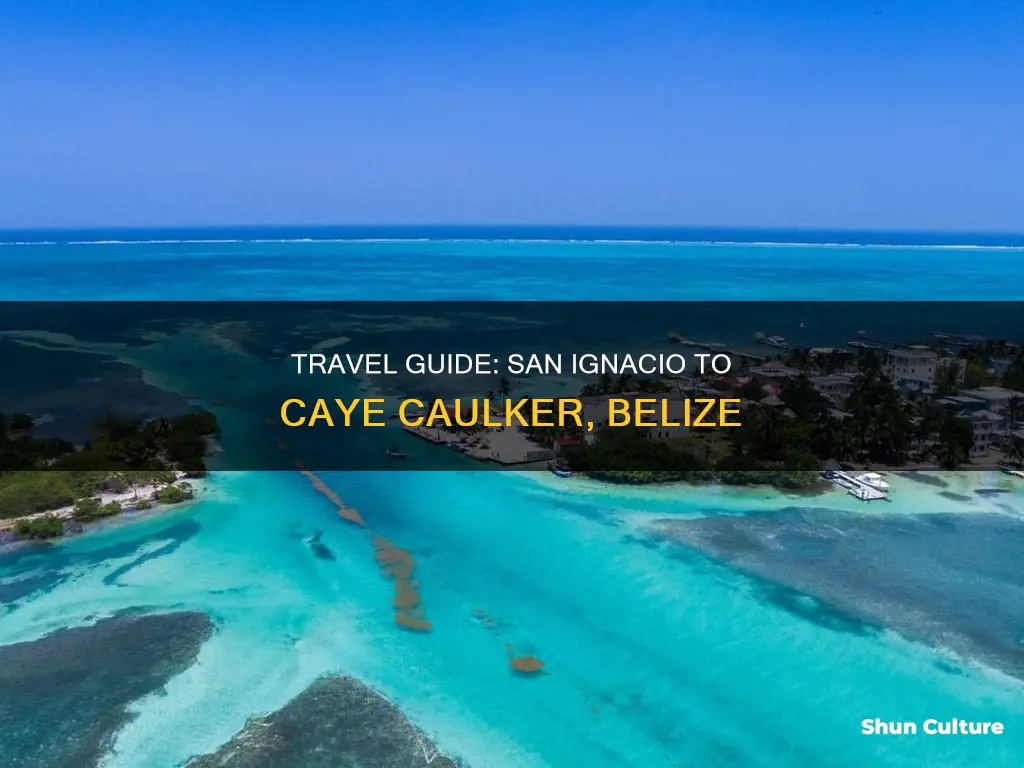 how to get from san ignacio to caye caulker belize