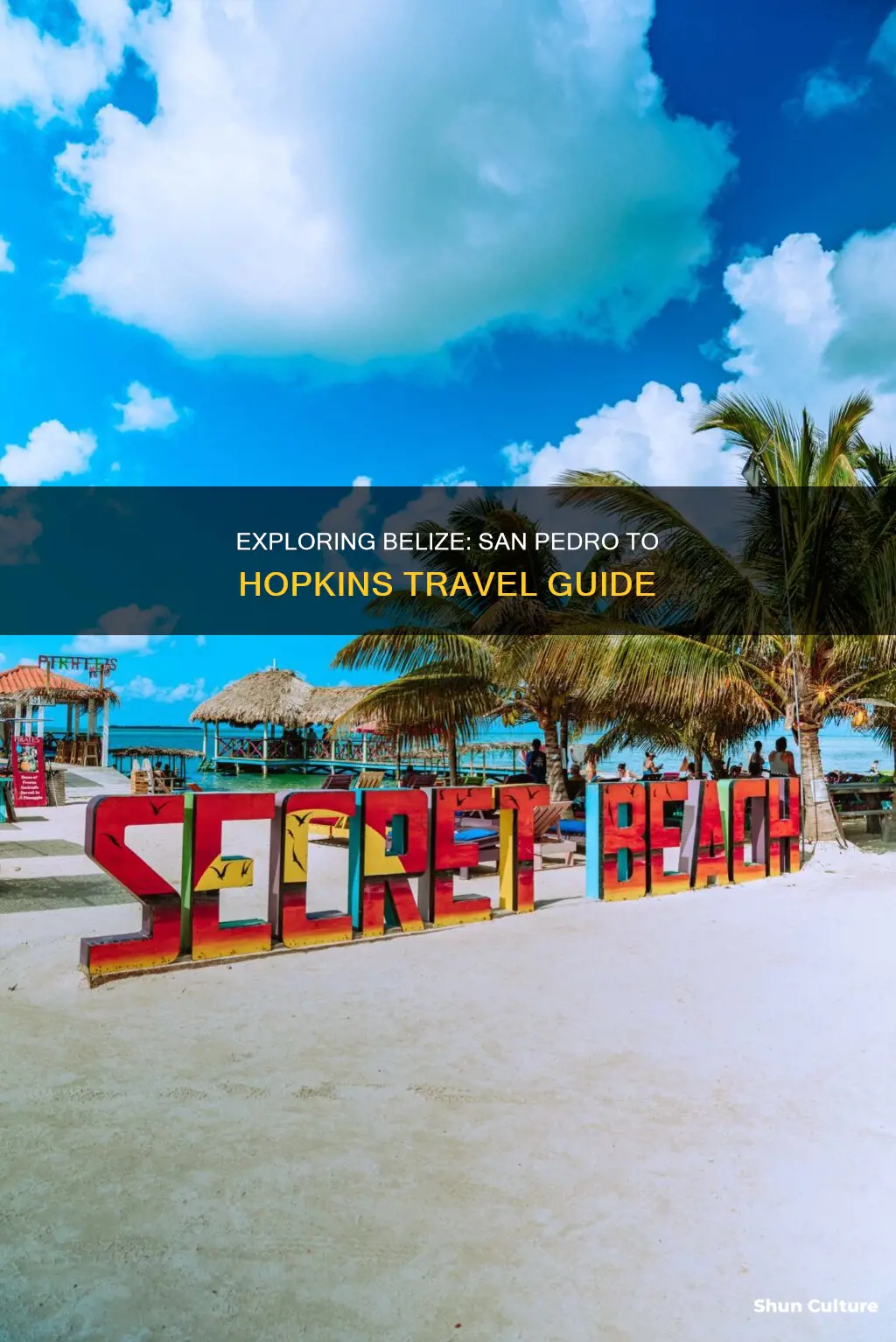 how to get from san pedro belize to san hopkins