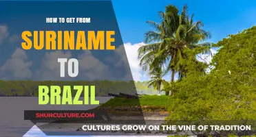 Travel Guide: Suriname to Brazil - Best Routes and Tips