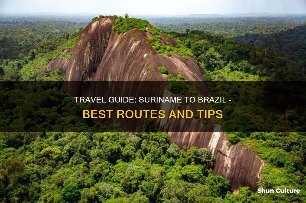 how to get from suriname to brazil