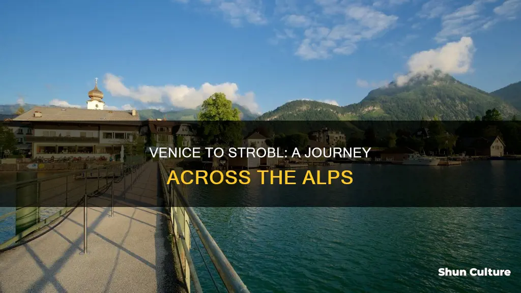 how to get from venice italy to strobl austria