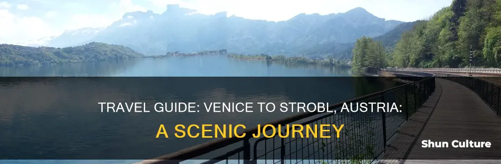 how to get from venice italy to strobl austria