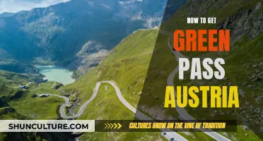 Unlocking Austria's Green Pass: A Comprehensive Guide to Accessing Services