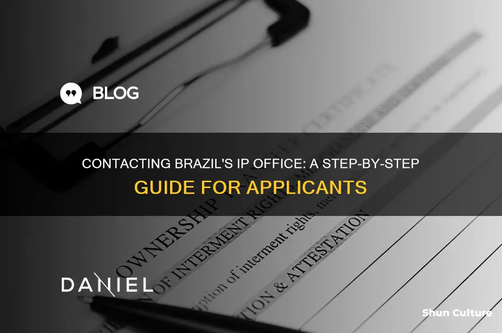 how to get in touch with brazil ip office